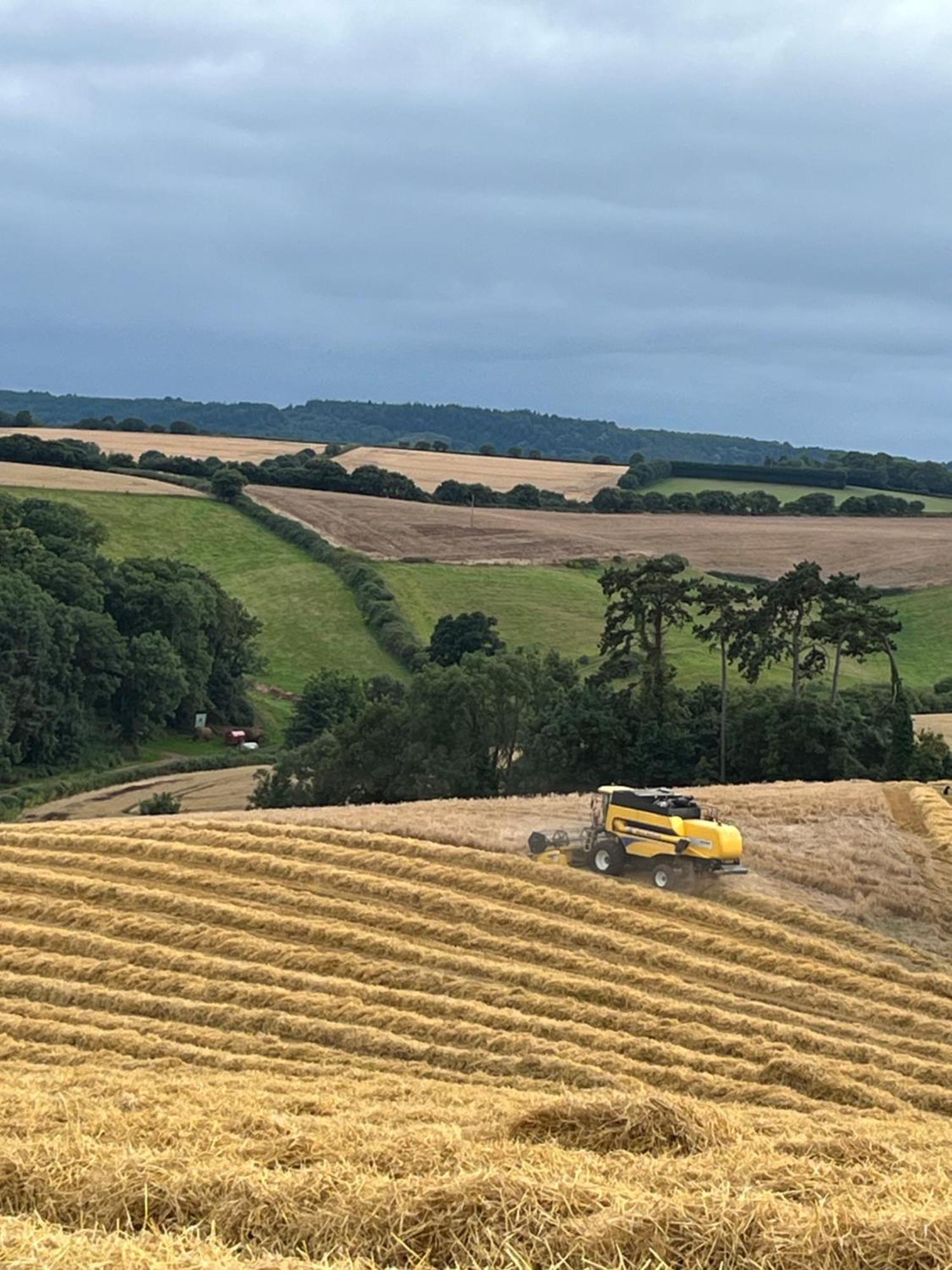Lower Thornton Farm Exeter Bagian luar foto